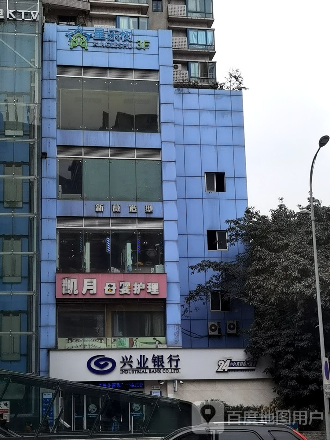 星乐树