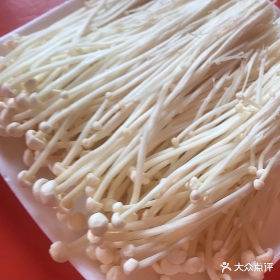 顺锋记锅(碧水庄园店)