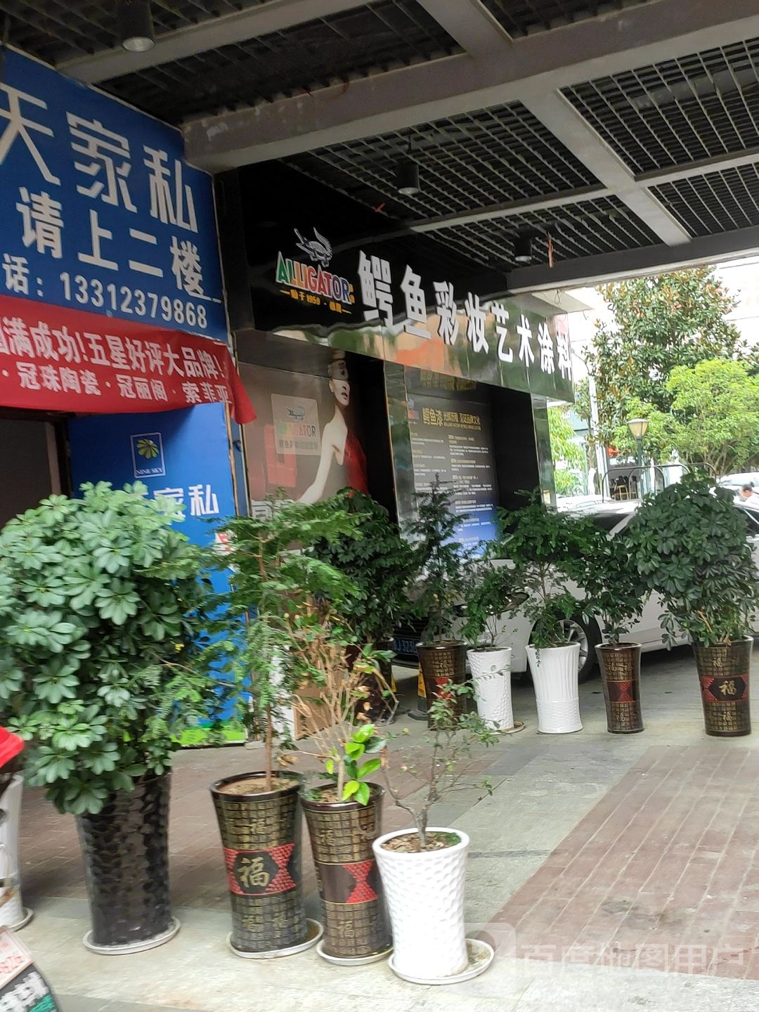 鳄鱼地彩妆墙面定制(麒龙·摩尔城店)