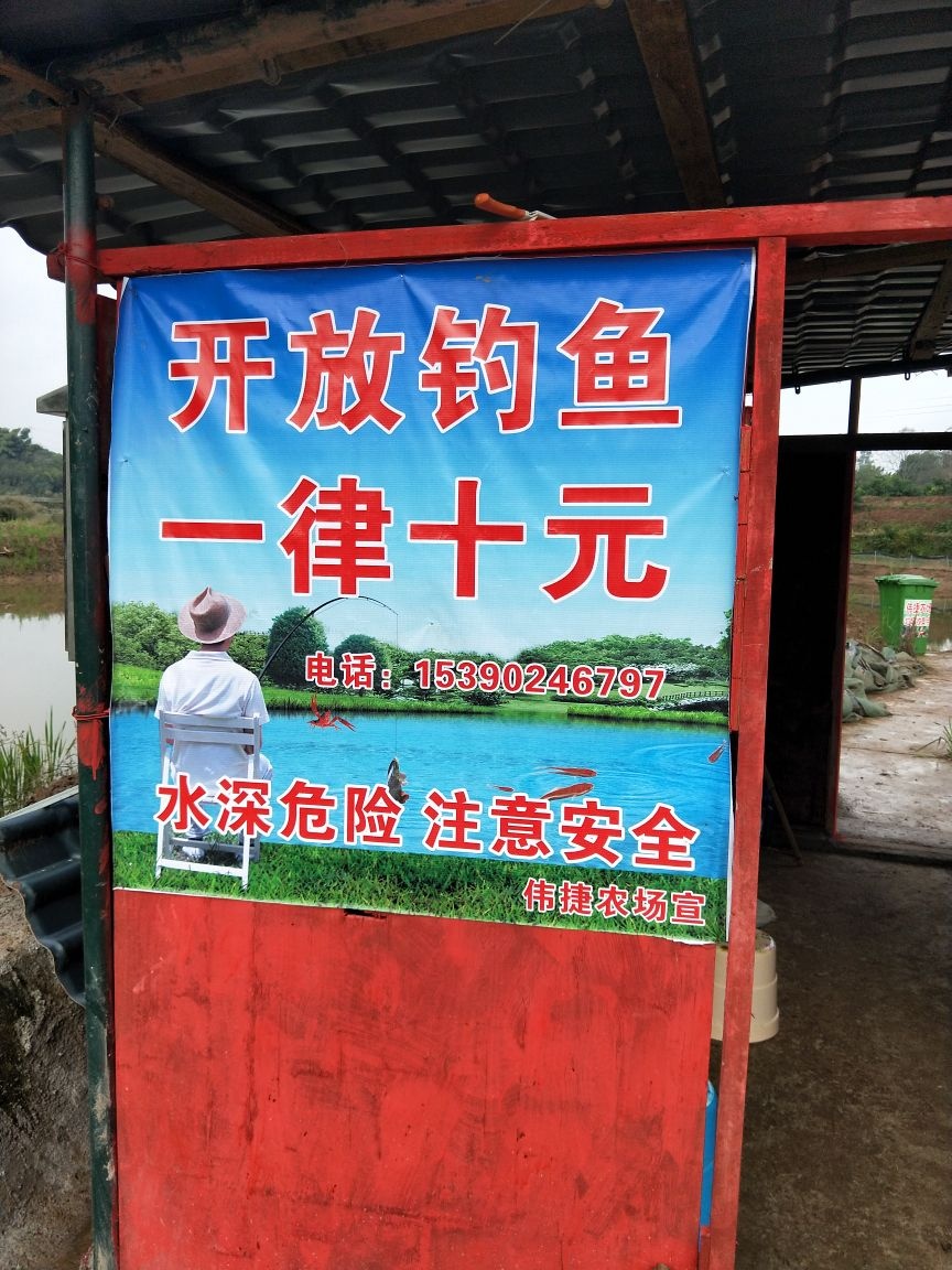 伟捷农场生态钓鱼场