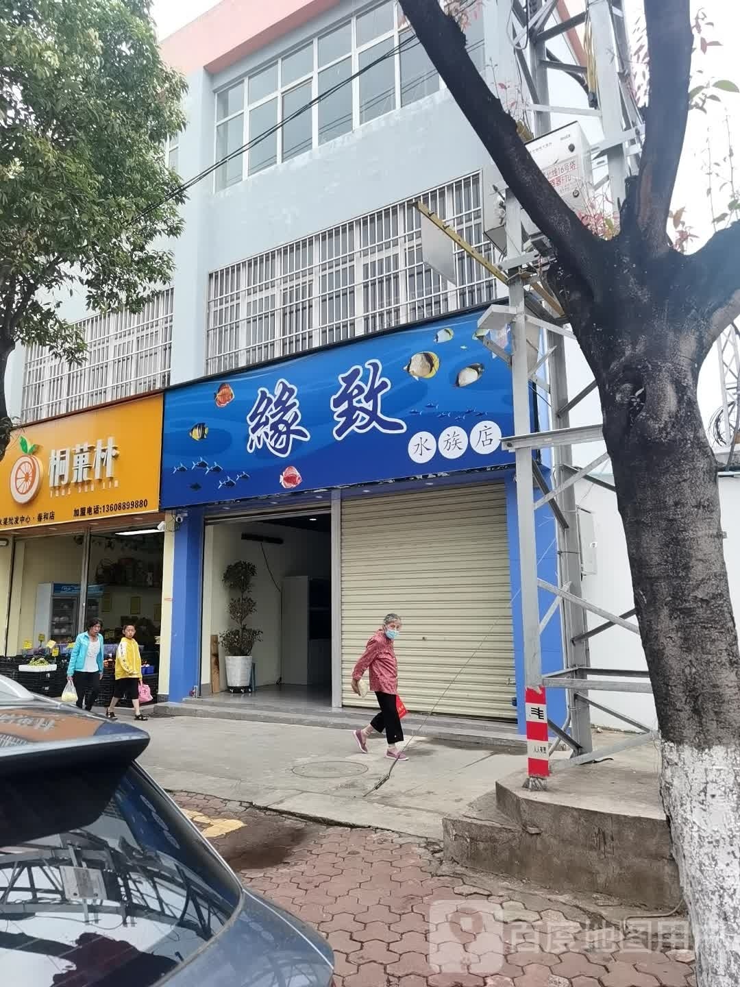 缘致水族酒店