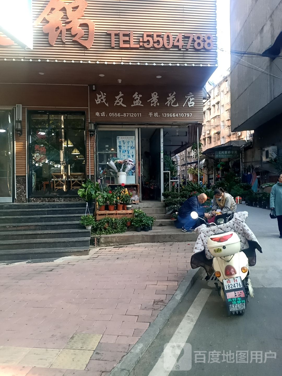 战友盆景花店
