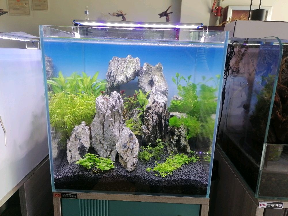 尾尾到来水族馆