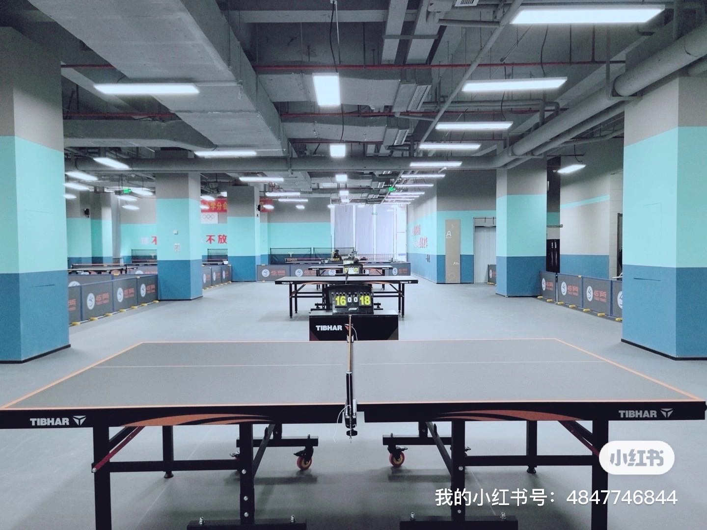 45度乒乓球俱乐部·乒乓球馆·乒乓球培训·高端运动设备