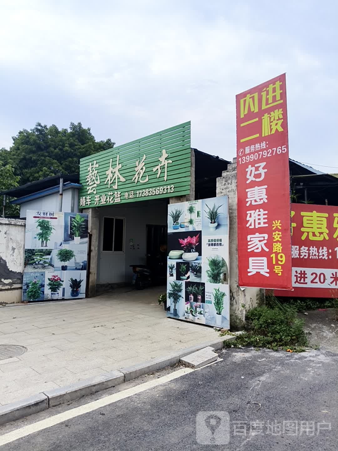 艺林花卉