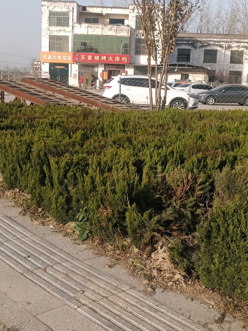 苏家烧烤大排档