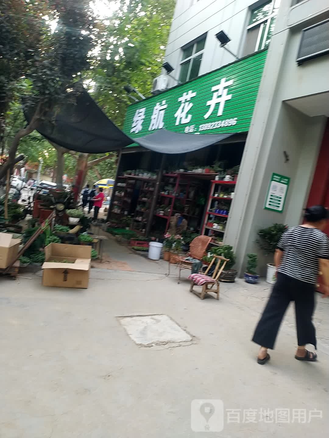 绿航花卉(清真寺店)