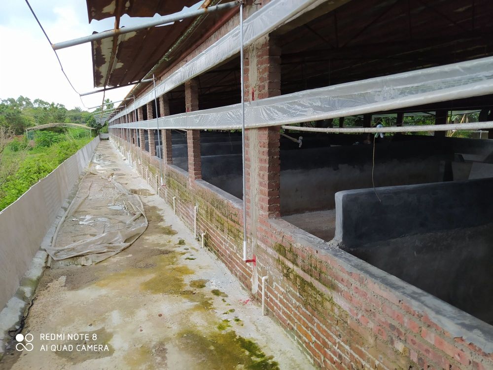 阳江市李孔放养殖场