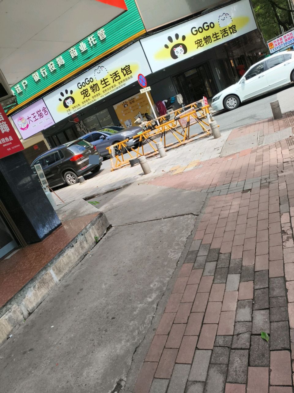 GoGo宠物生活馆(邵阳双清青龙桥总店)