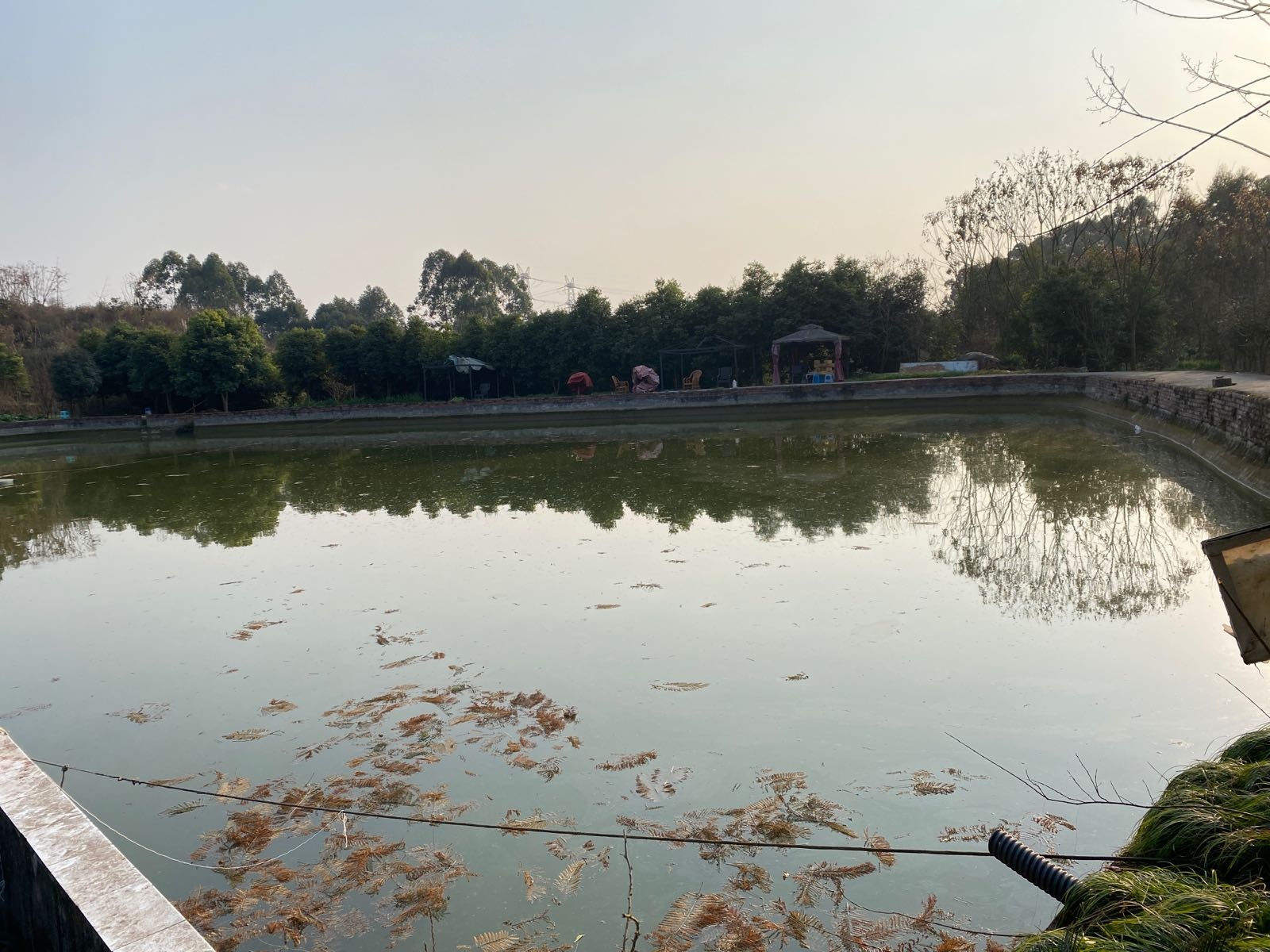 范家湾垂钓