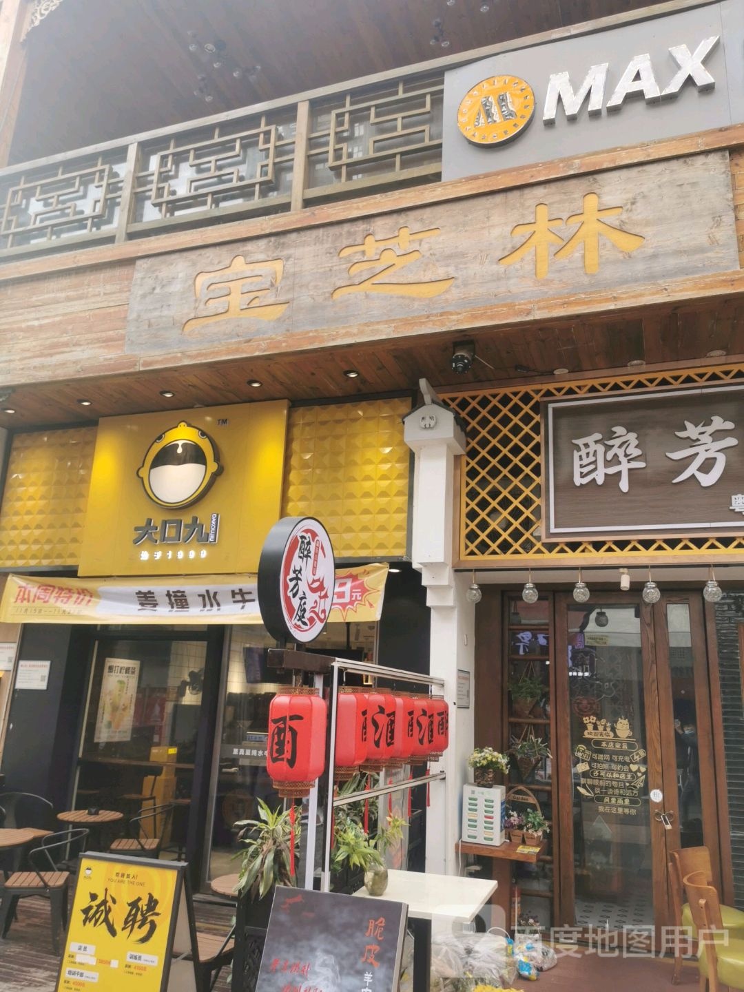 宝芝林(万达广场佛山南海店)