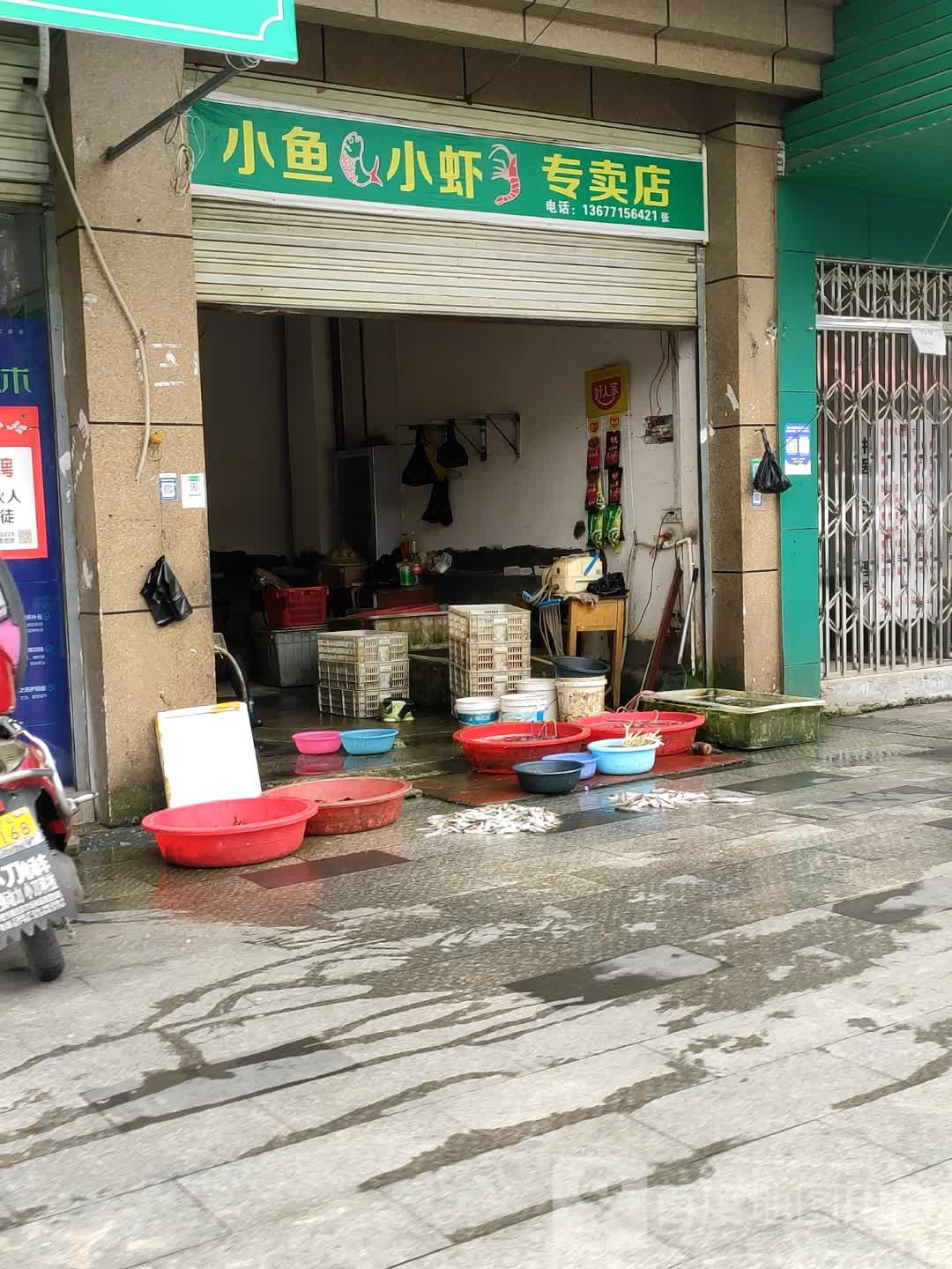 小鱼小虾专卖店