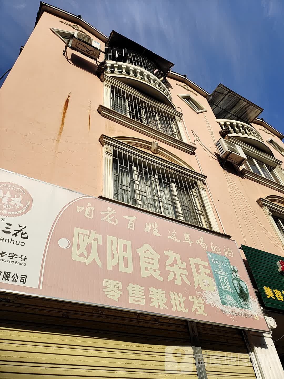 欧阳食杂店(健安巷)
