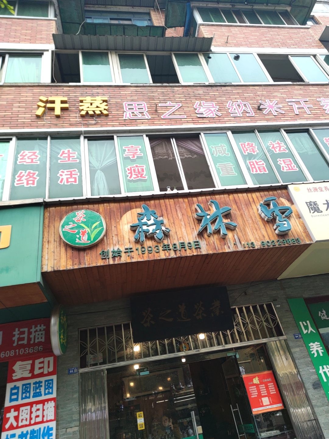 森林雪茶业(德阳一分店)