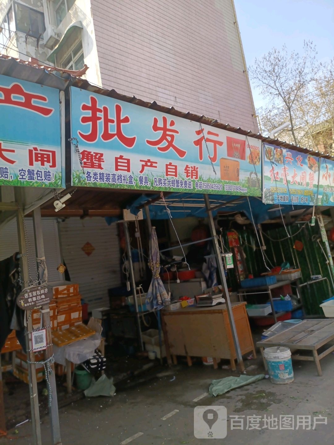 阿康水产行州红膏大闸蟹