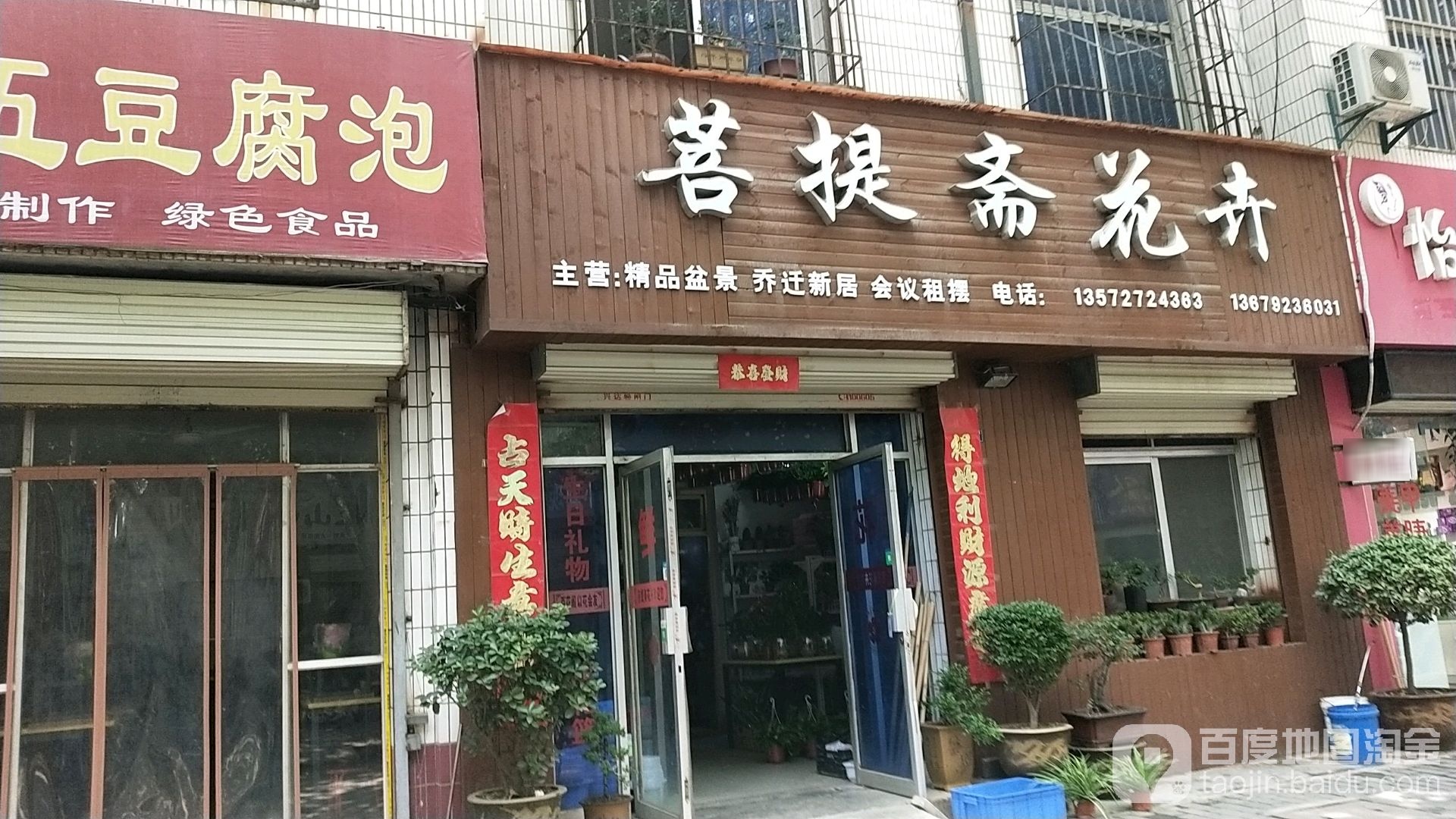 菩提斋花卉