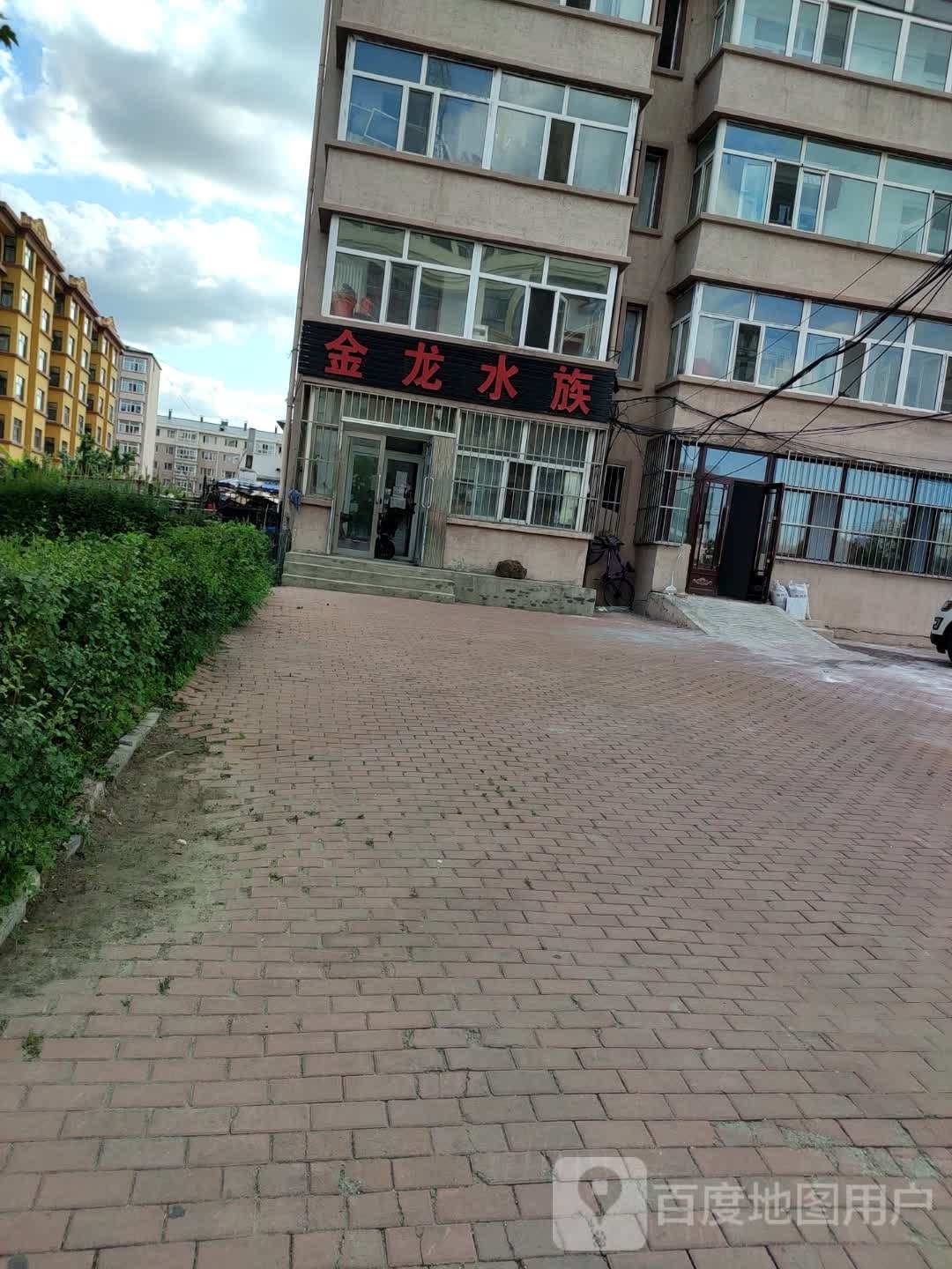 金龙水族