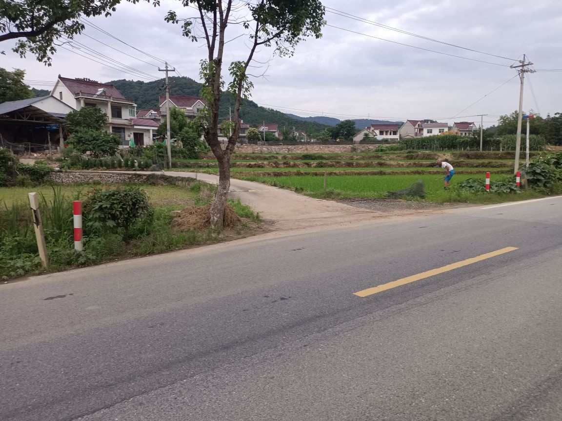 狮山村西井组55号