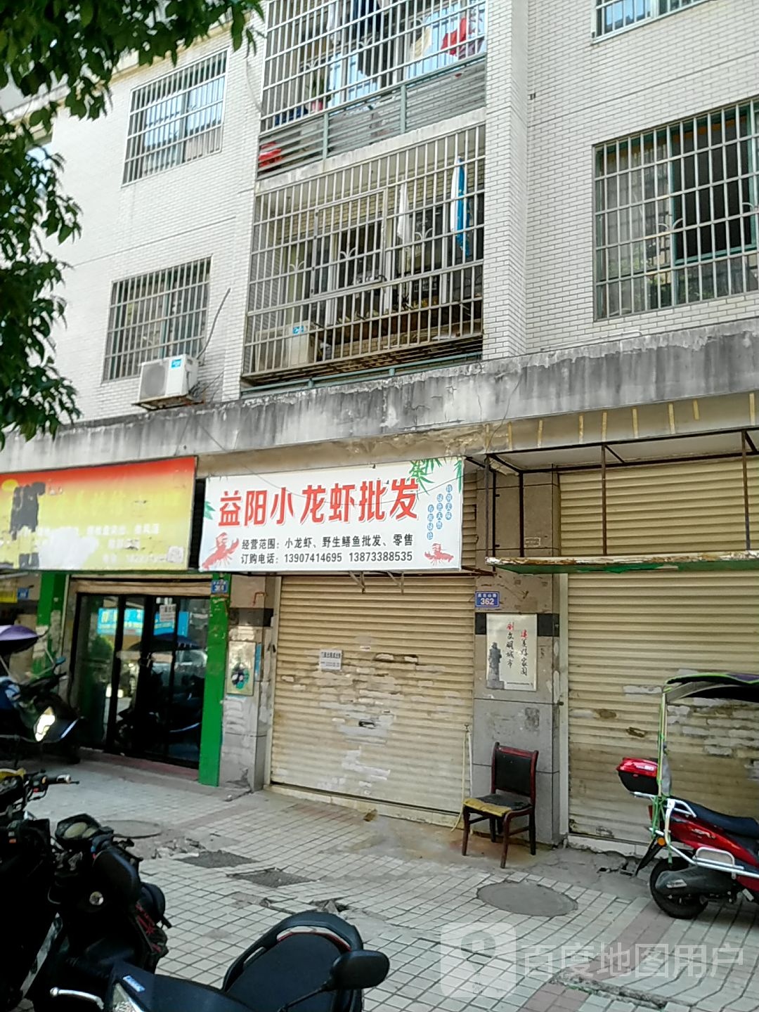 益阳小龙虾苗批