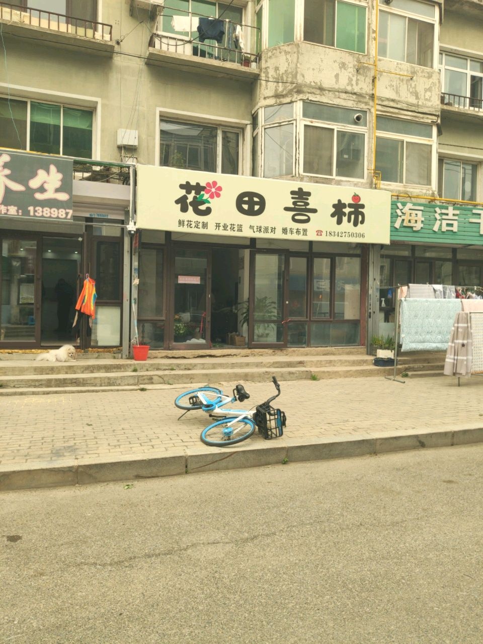 花田喜柿