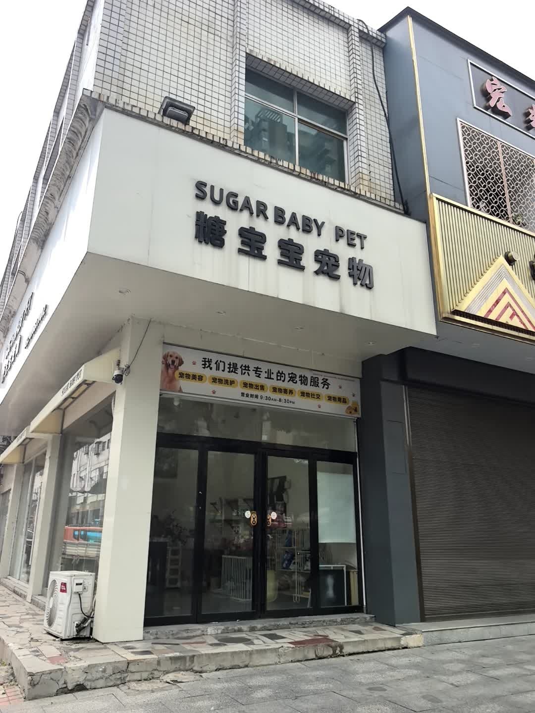 糖宝宝宠物(河西店)
