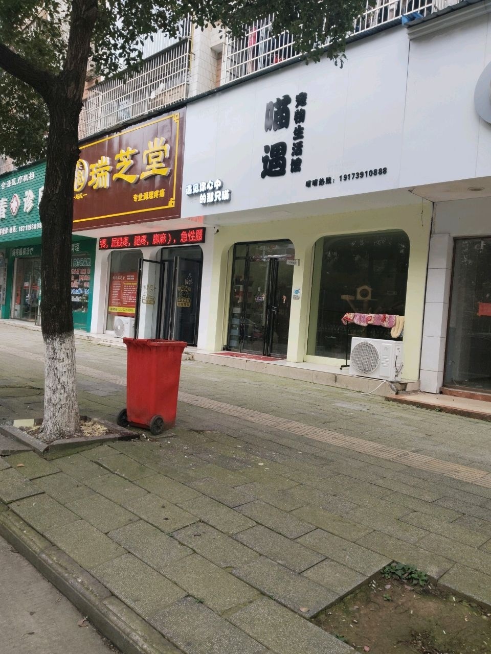 喵遇宠物生活馆