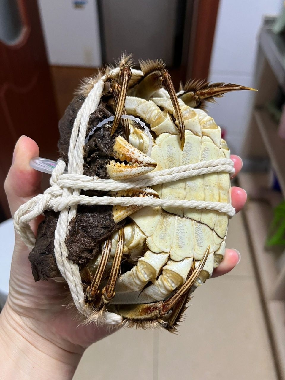 乌鲁木齐市域海鲜市场