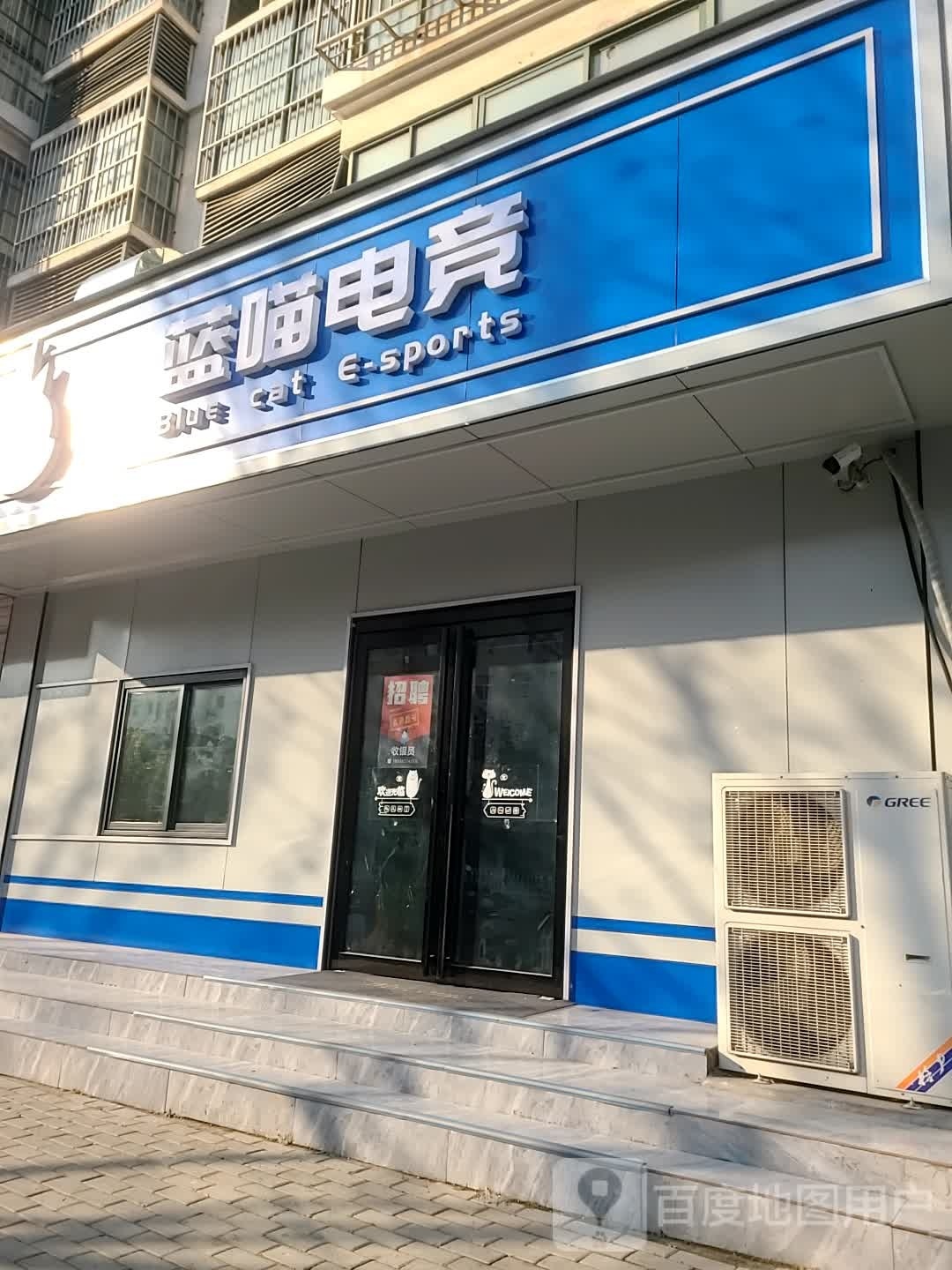 蓝喵电竞