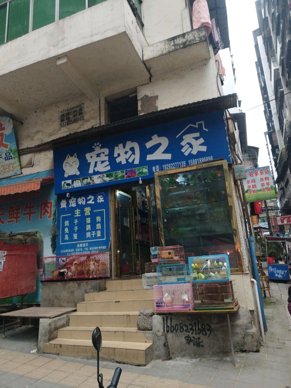 宠物之家(半边街店)