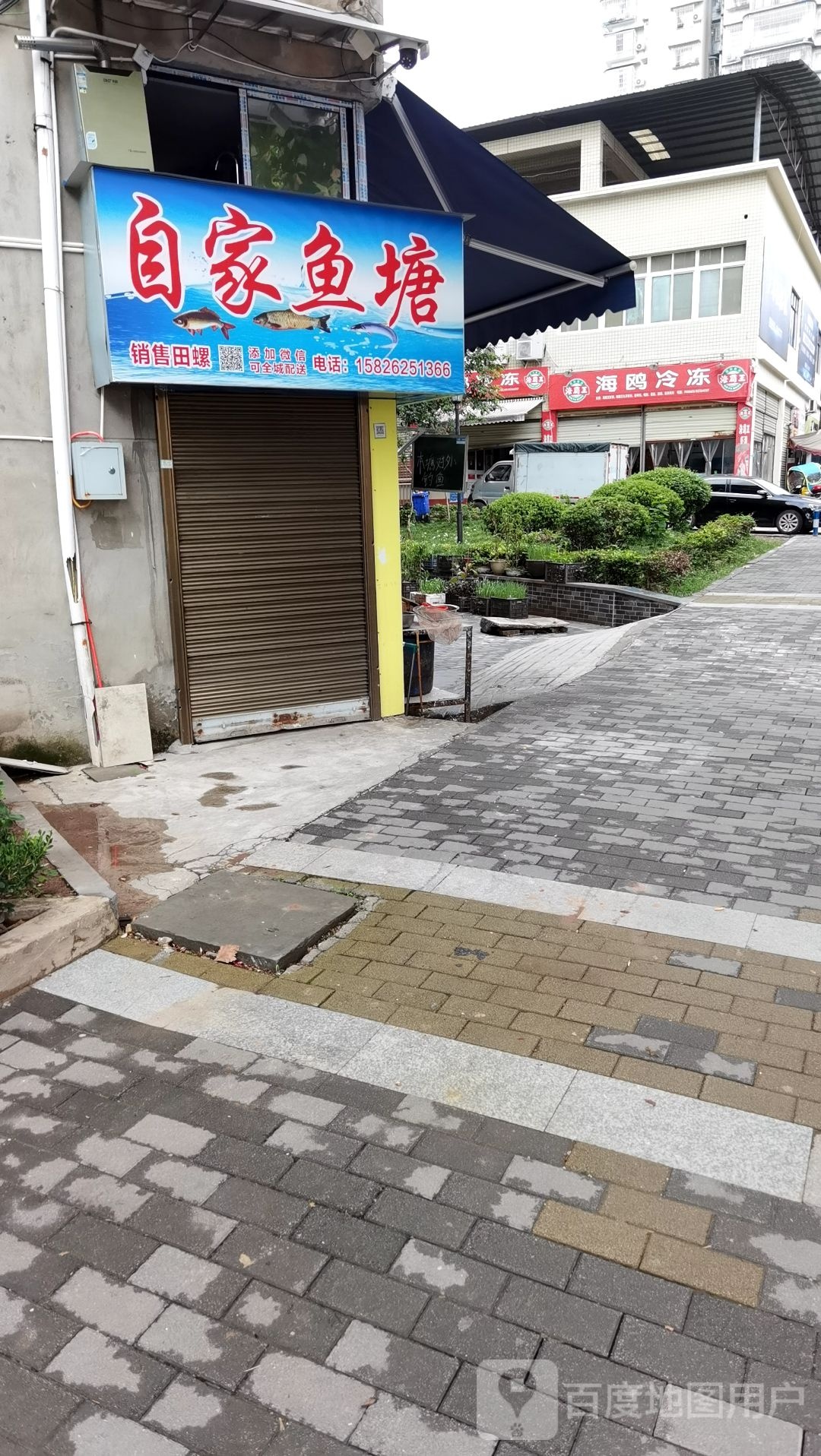 自家鱼塘