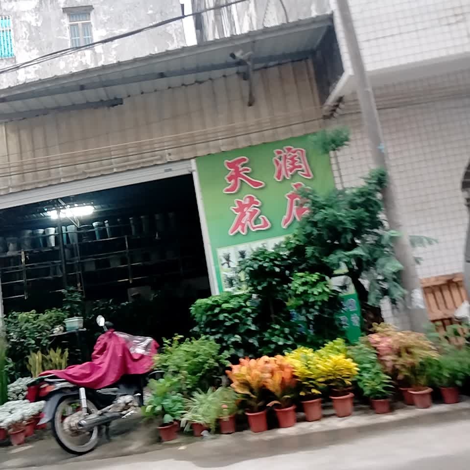 天润花店