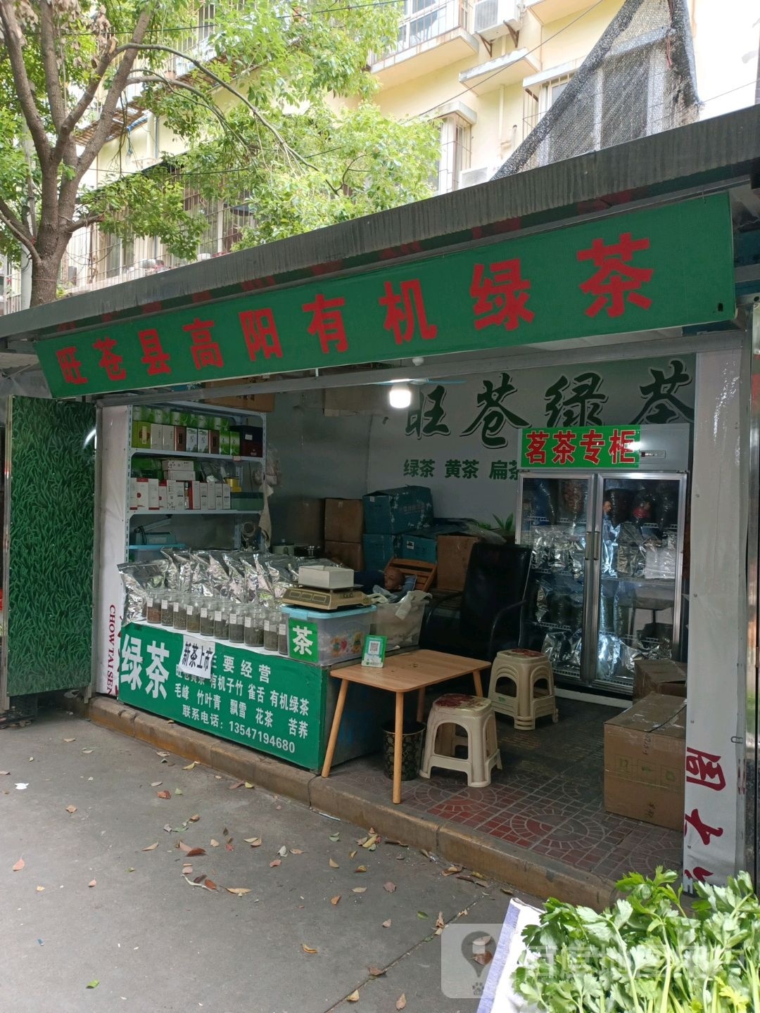 旺苍绿茶
