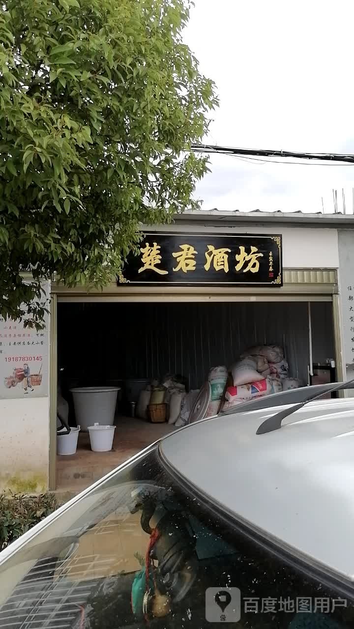 楚君九芳