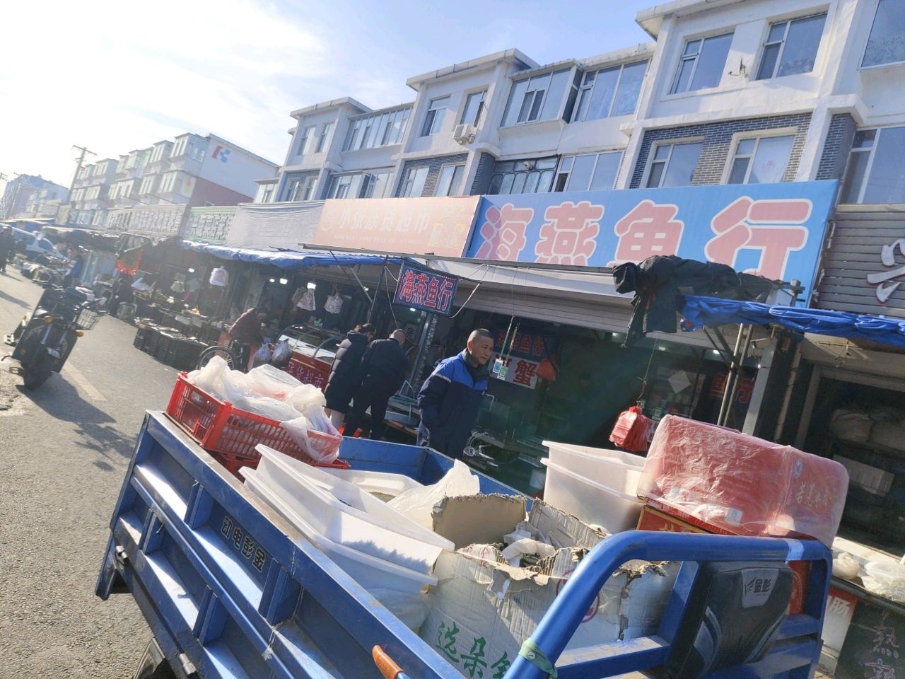 海燕鱼行