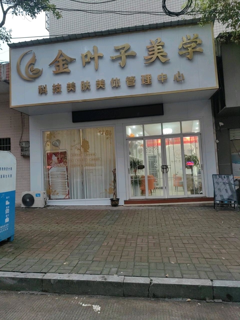 金叶子美学