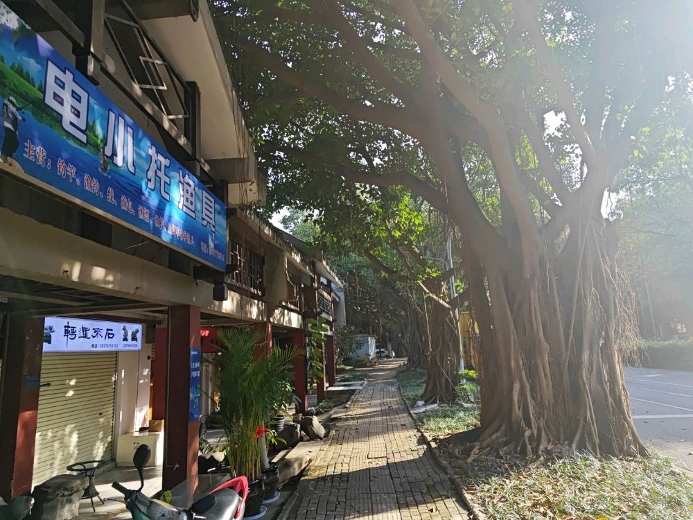 电小托渔具