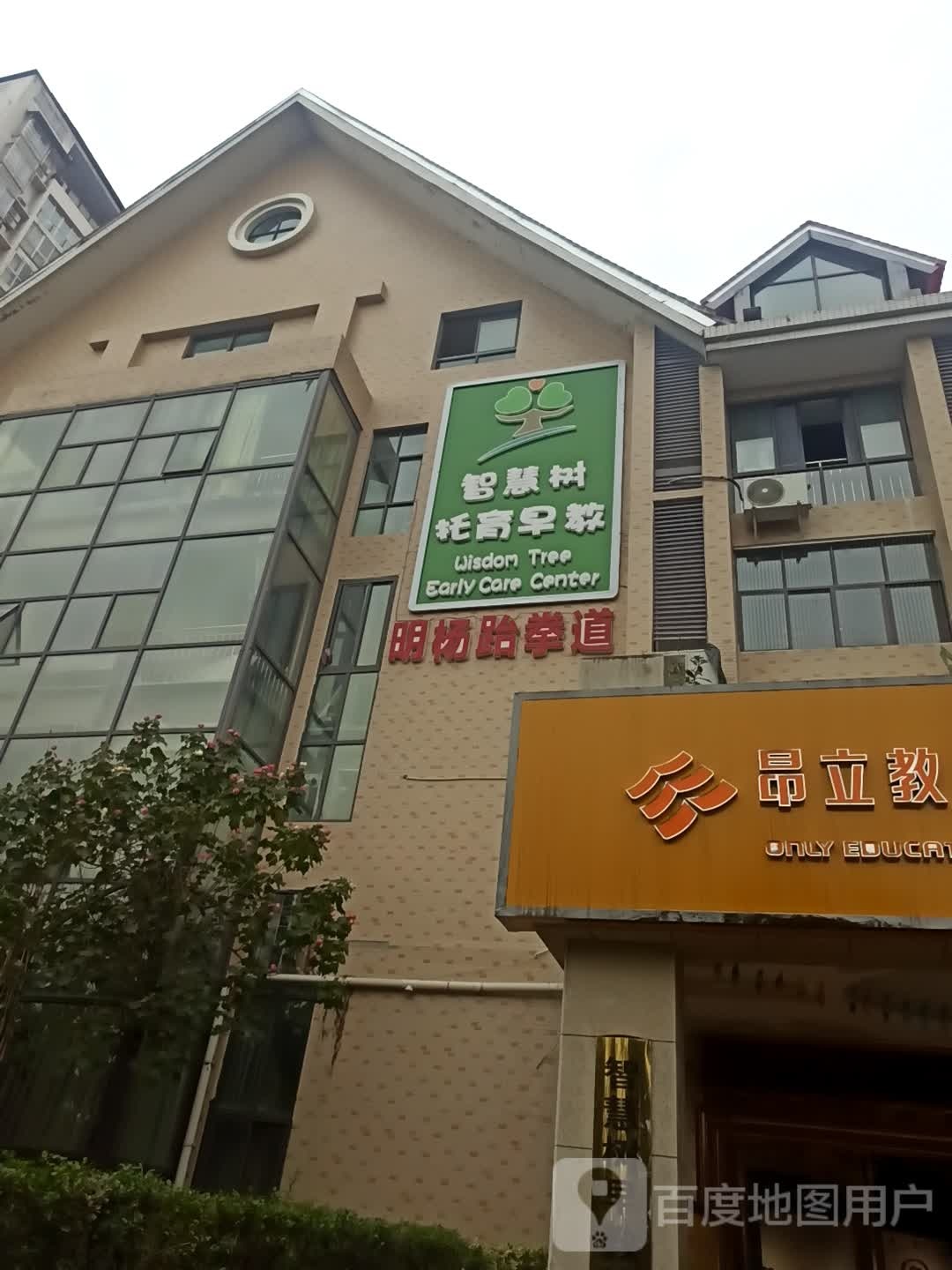 明杨跆拳