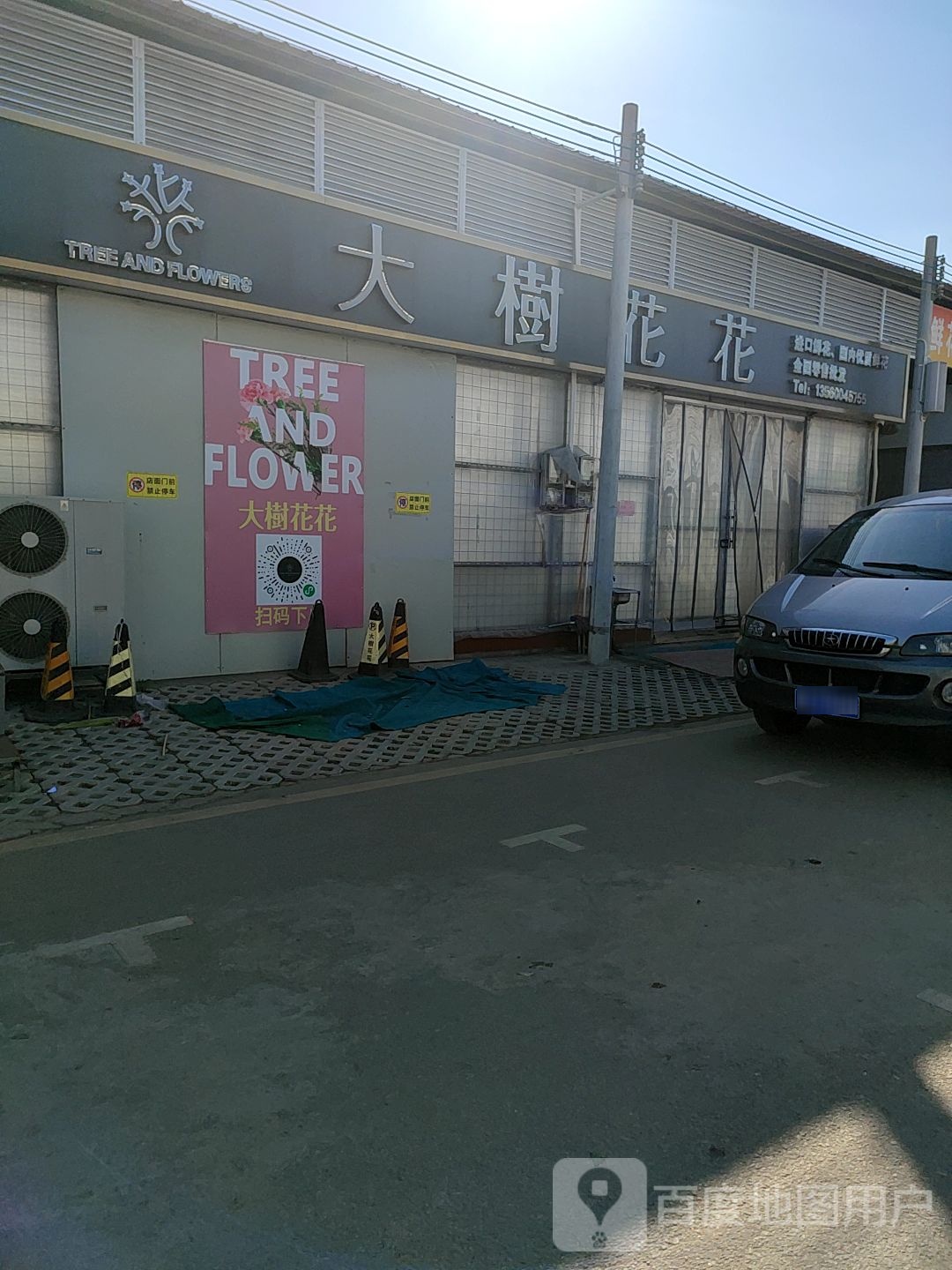 大树花花
