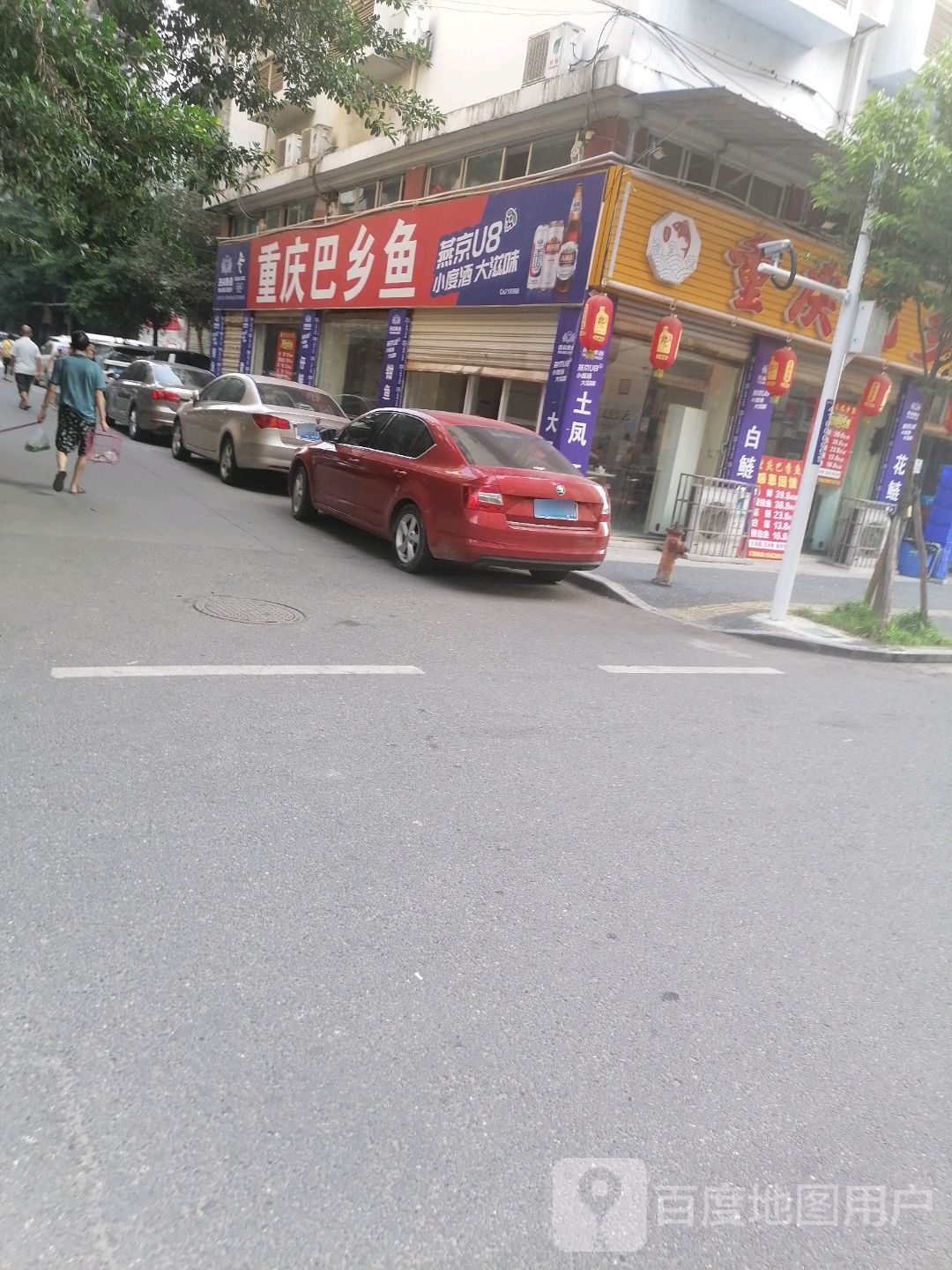 重庆市巴乡鱼
