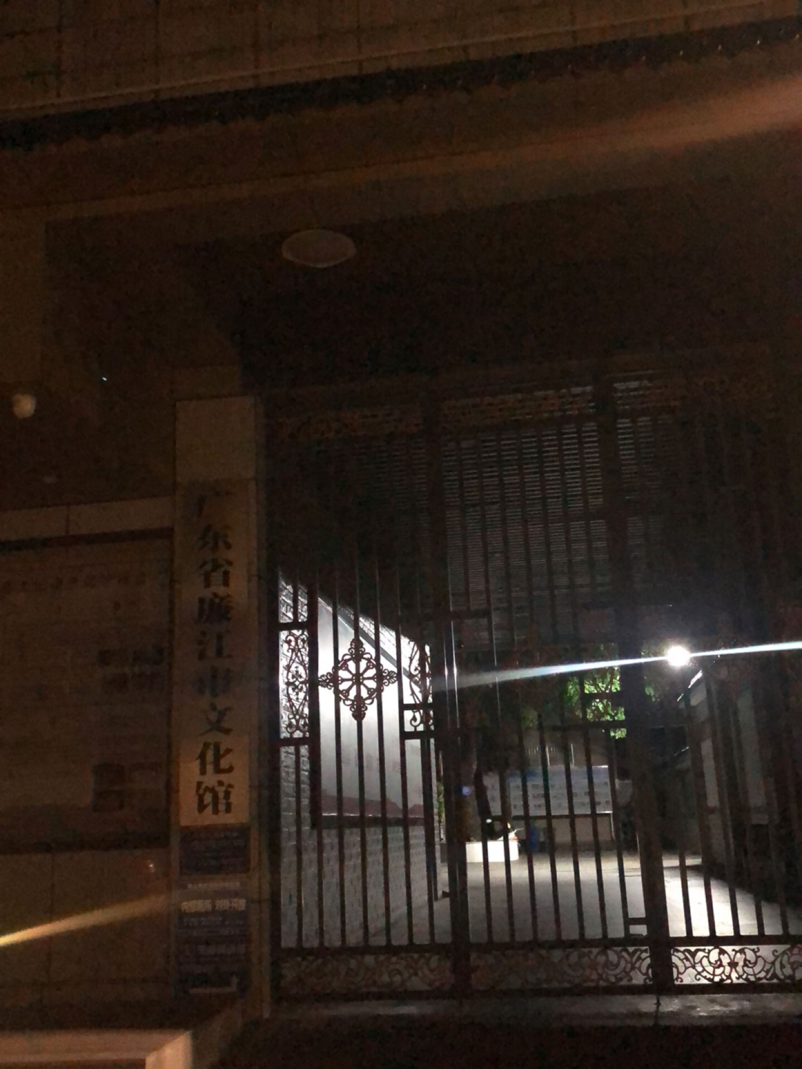 广东省廉江市文化馆