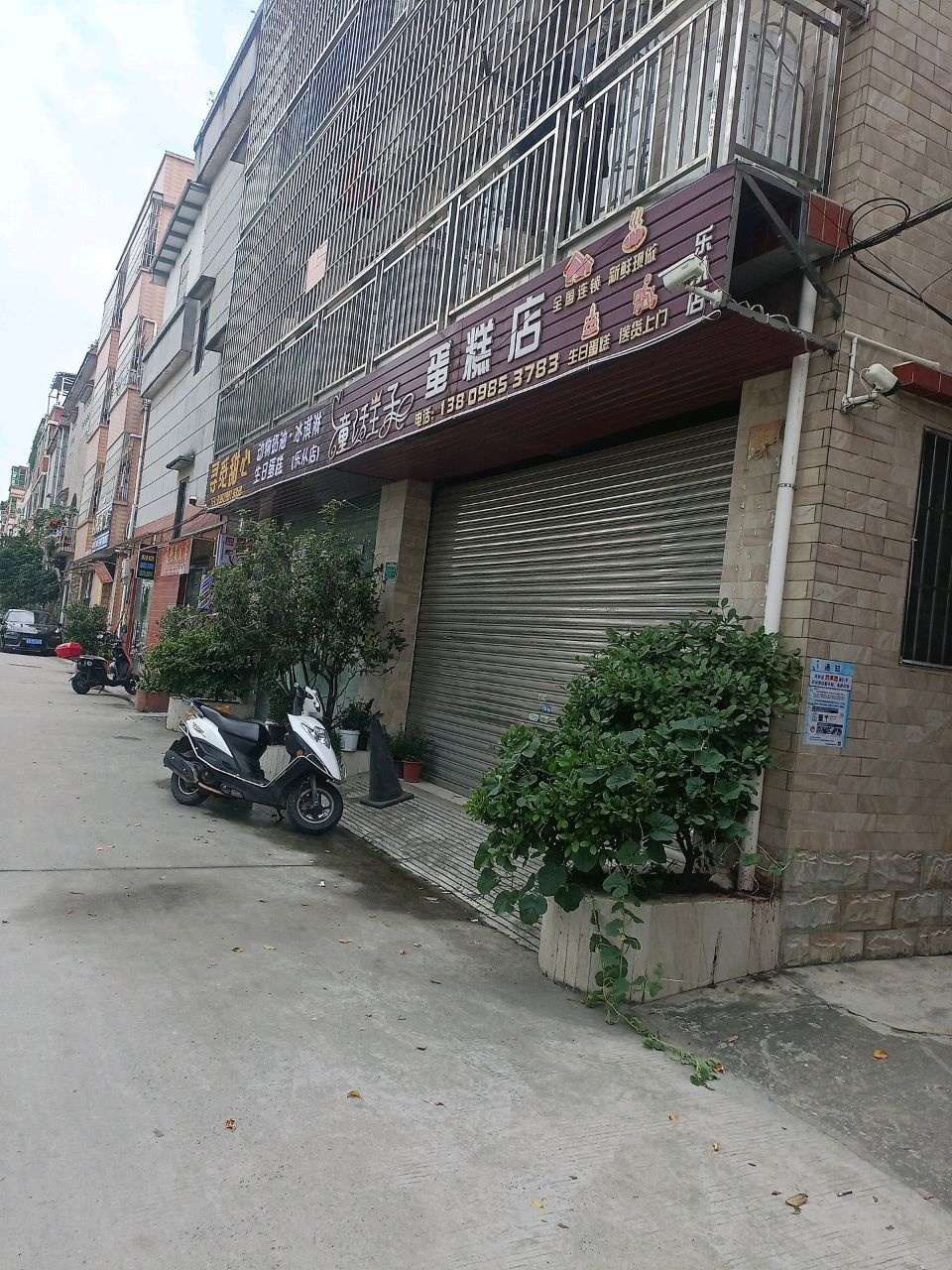 寻觅甜心动物奶油冰淇淋·生日蛋糕(乐从店)