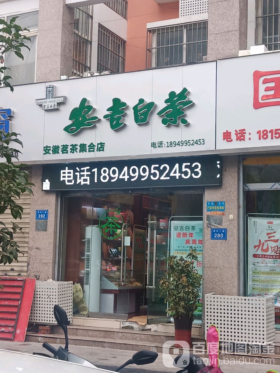 安吉白茶在(安徽茗茶集合店)