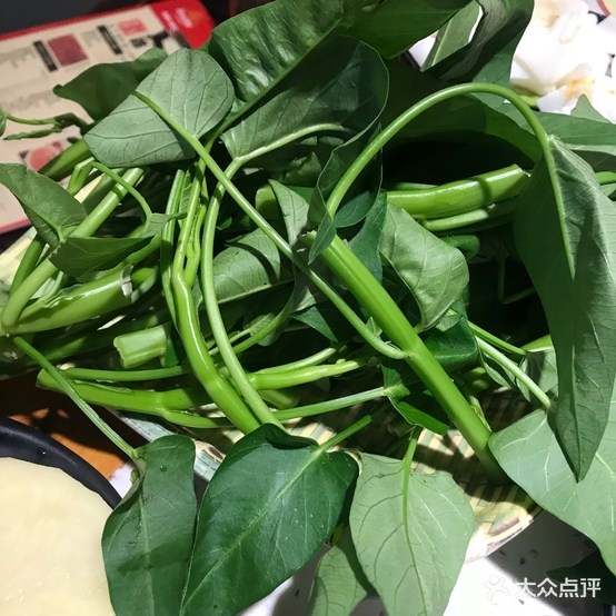 白李香老火锅(金科店)