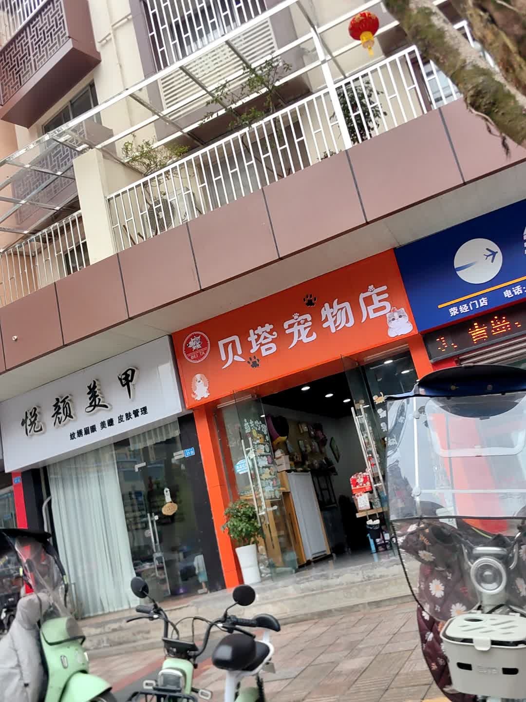 贝塔宠物店