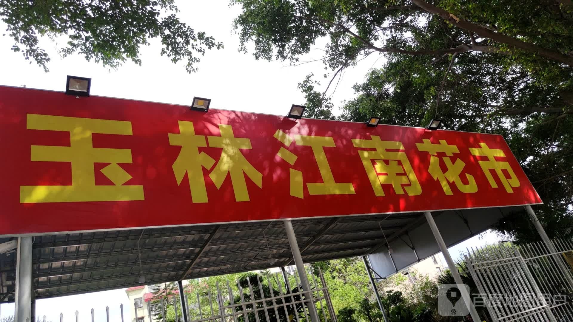 玉林江南花市
