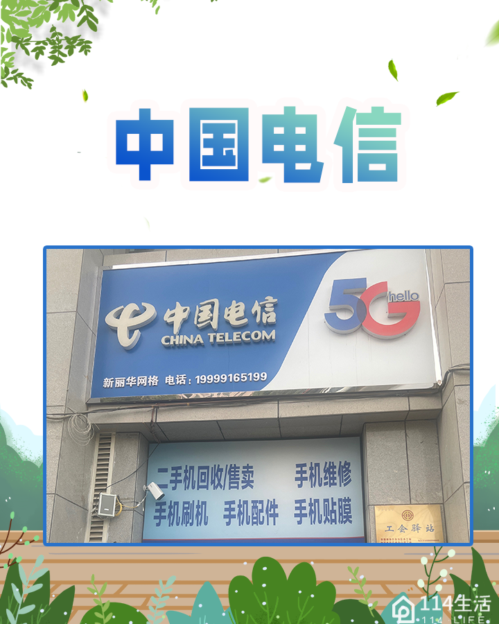 中国电信(新丽华网格)