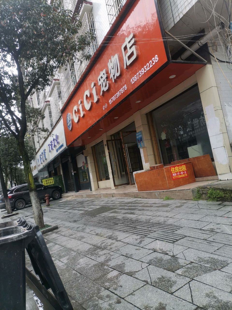 宠物店