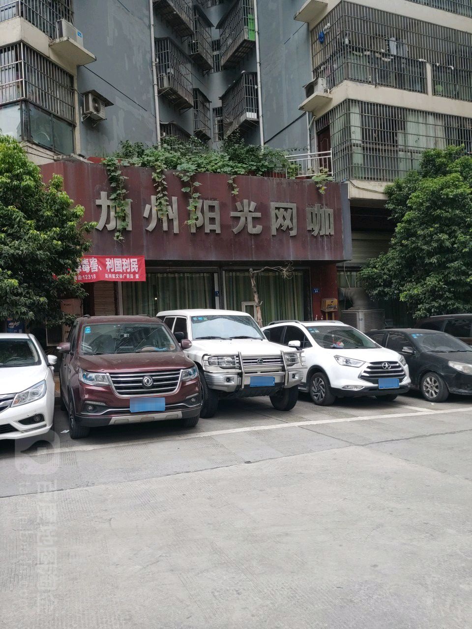 加洲阳光网吧