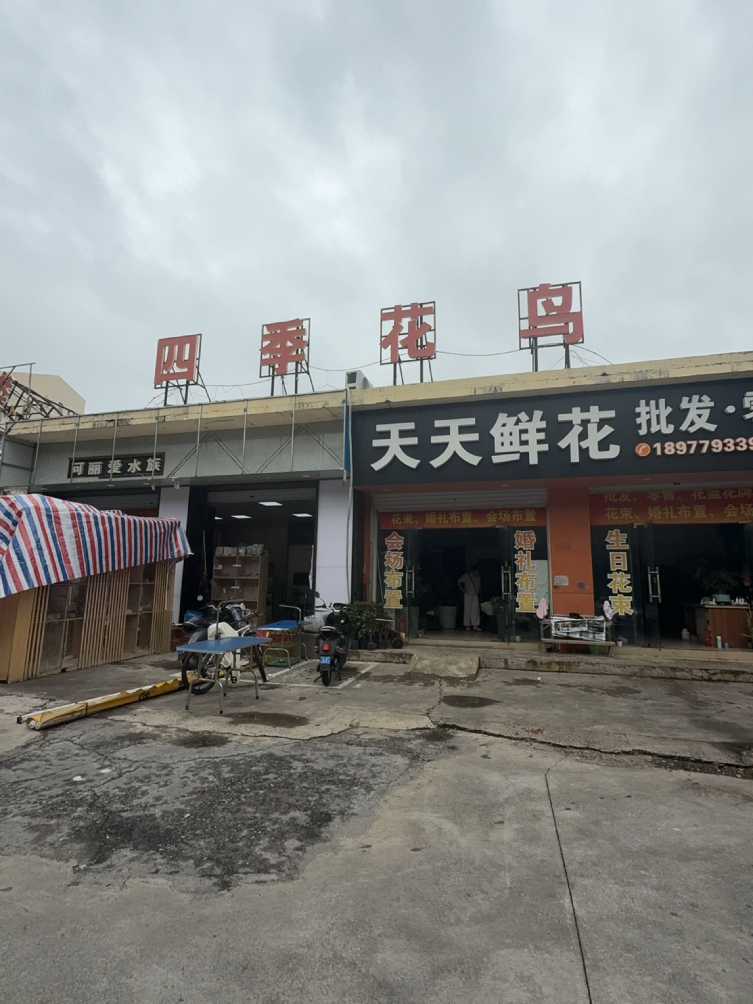 天天鲜花批发零售