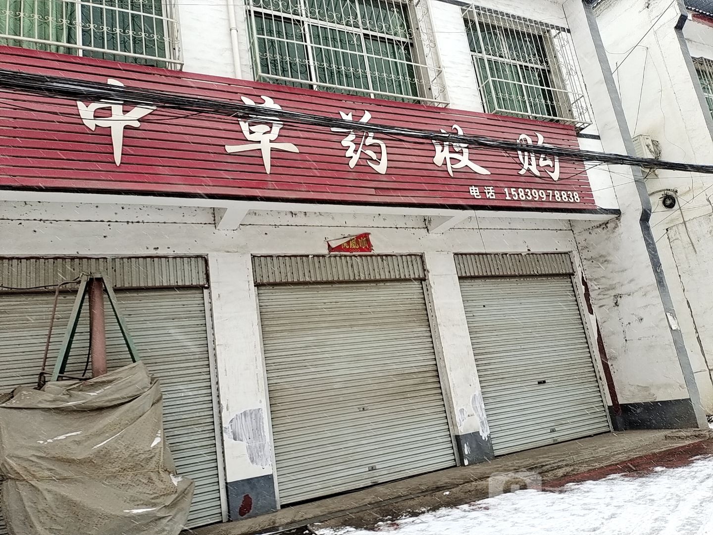 中草药收购